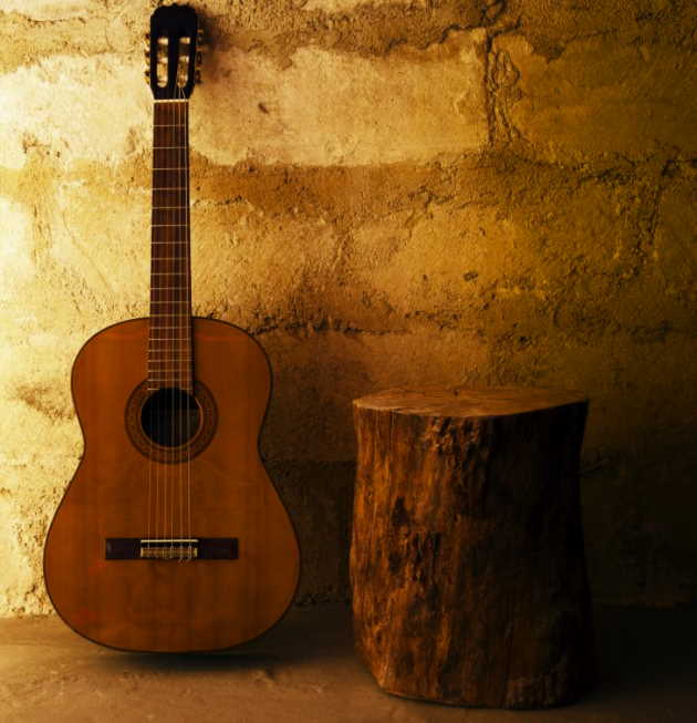 acoustic guitar